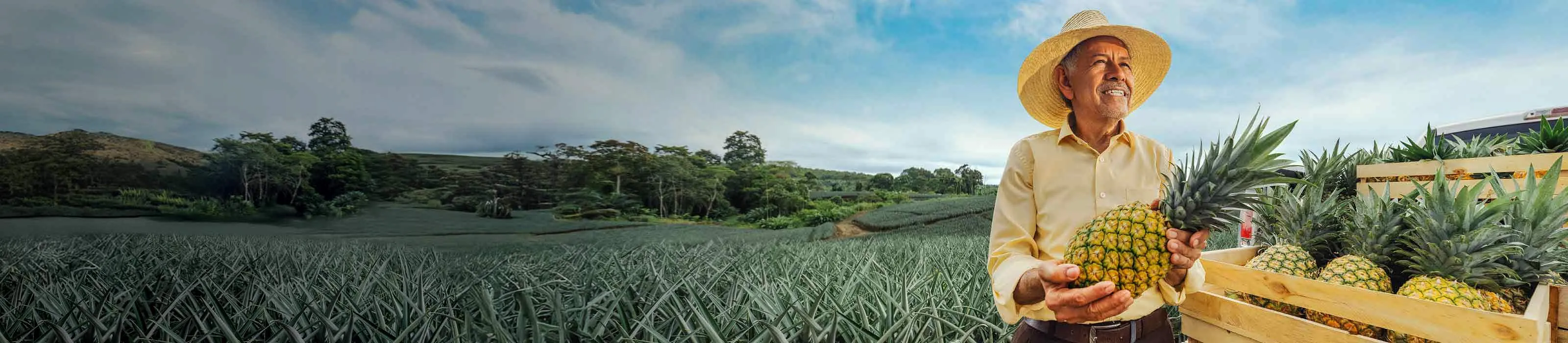 Banner Home Agro