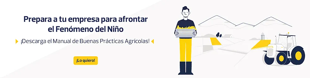 Descargar Manual de Buenas Prácticas Agrícolas