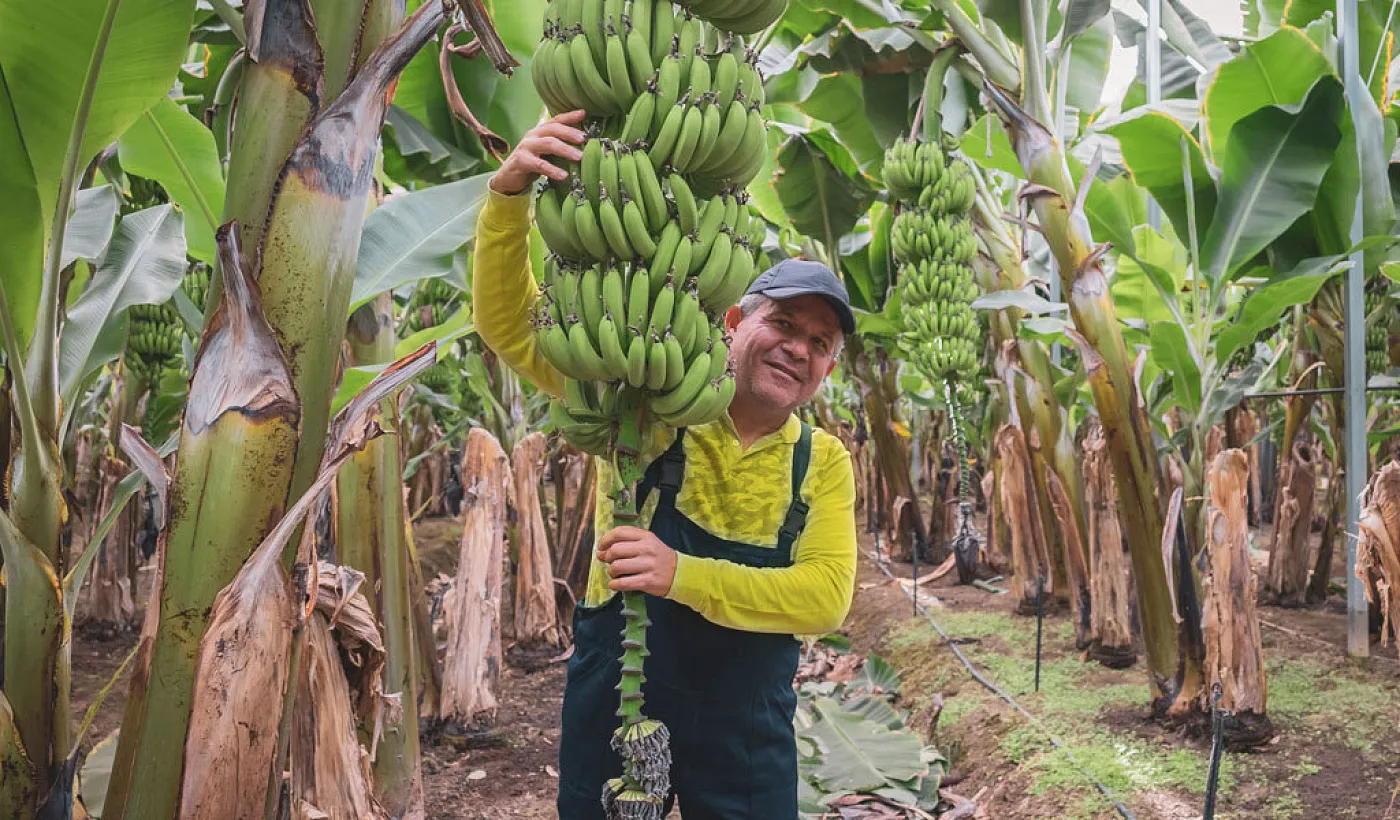 Escuelas Agro: aprendizaje continuo para apoyar al crecimiento del sector agropecuario