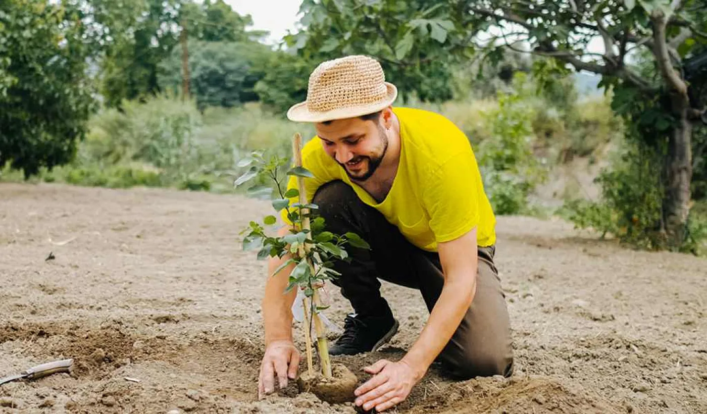 Banco Pichincha reforesta con árboles nativos
