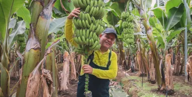 Escuelas Agro: aprendizaje continuo para apoyar al crecimiento del sector agropecuario