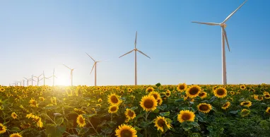Qué es la huella de carbono y cómo reducir la tuya con pequeñas acciones