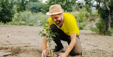 Banco Pichincha reforesta con árboles nativos y ratifica su compromiso por promover entornos sostenibles